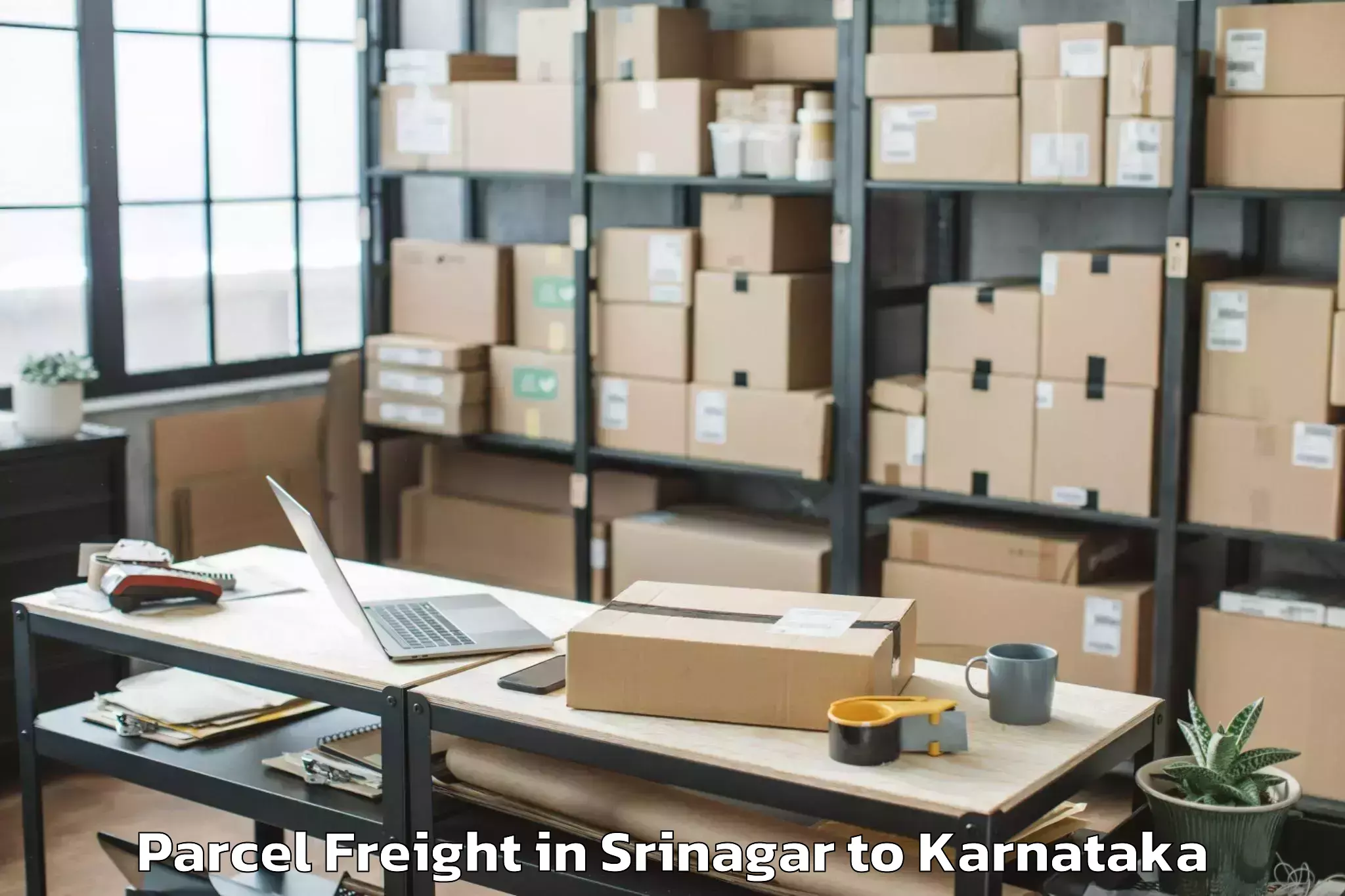 Expert Srinagar to Vijayawada Rural Parcel Freight